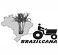 Agrcola Brasil Cana